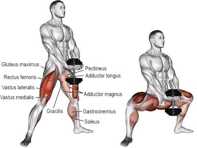 تصویر و عکس و ویدیو آموزش اسکوات دمبل از جلو پا باز