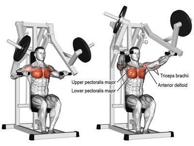 تصویر و عکس و ویدیو آموزش پرس سینه دستگاه موازی نشسته