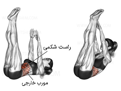 تصویر و عکس و ویدیو آموزش شکم خوابیده لمس انگشت