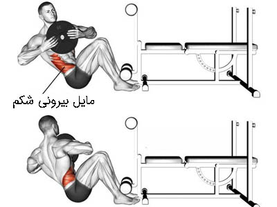 تصویر و عکس و ویدیو آموزش شکم روسی با وزنه